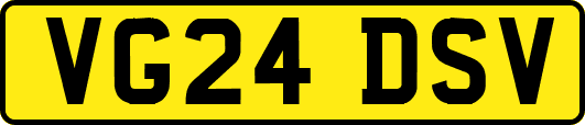 VG24DSV
