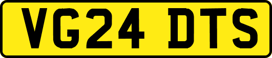 VG24DTS