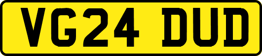 VG24DUD