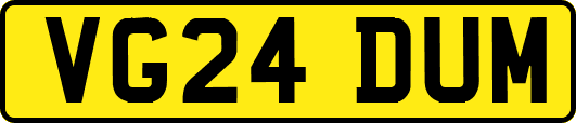 VG24DUM