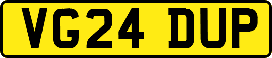 VG24DUP