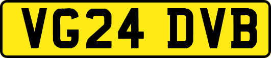 VG24DVB