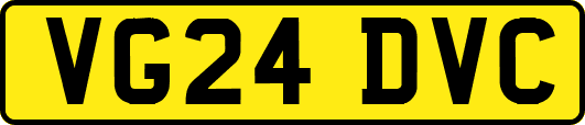 VG24DVC
