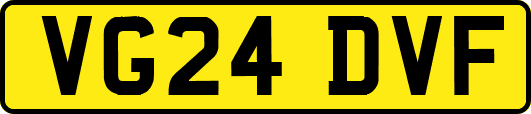VG24DVF