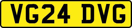 VG24DVG