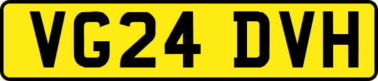 VG24DVH