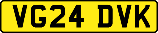 VG24DVK
