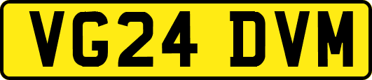 VG24DVM