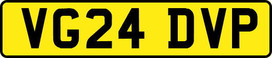 VG24DVP