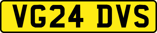 VG24DVS