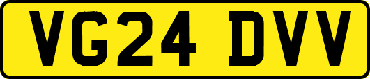 VG24DVV