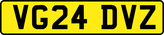 VG24DVZ