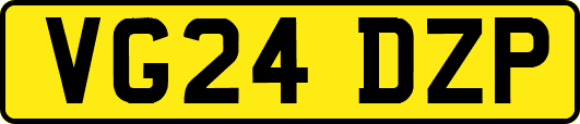 VG24DZP
