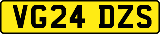 VG24DZS