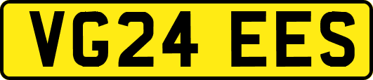 VG24EES