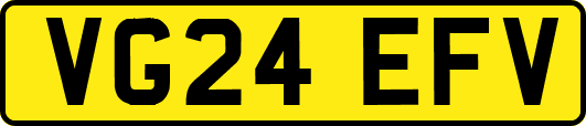 VG24EFV