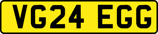 VG24EGG
