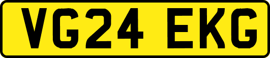 VG24EKG