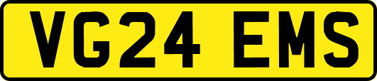VG24EMS