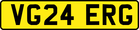 VG24ERG