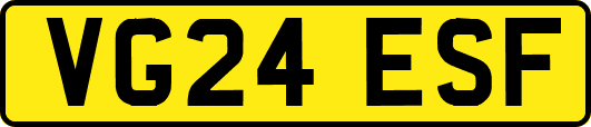 VG24ESF