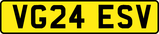 VG24ESV