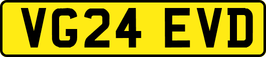 VG24EVD