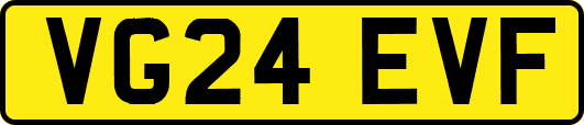 VG24EVF