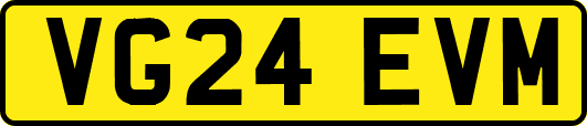 VG24EVM