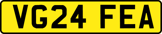 VG24FEA