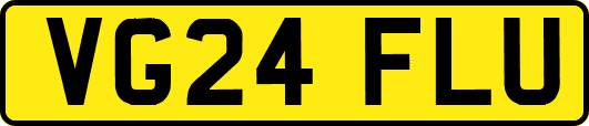 VG24FLU