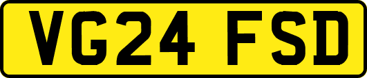 VG24FSD