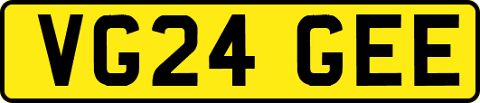 VG24GEE