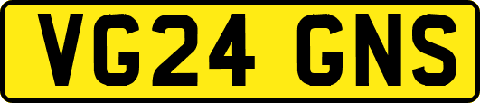 VG24GNS