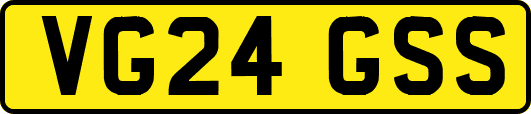 VG24GSS