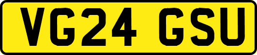 VG24GSU