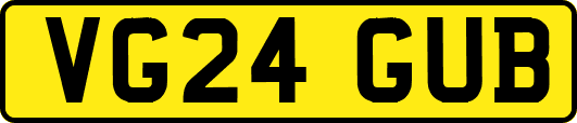 VG24GUB