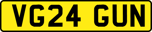 VG24GUN