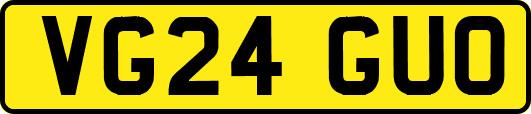 VG24GUO