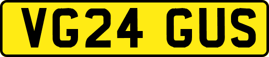 VG24GUS