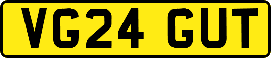 VG24GUT