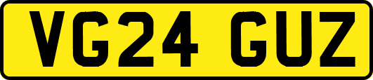 VG24GUZ