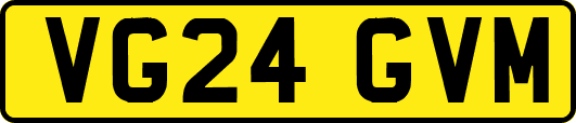 VG24GVM