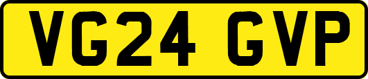 VG24GVP