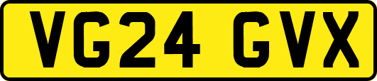 VG24GVX