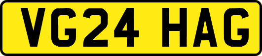VG24HAG