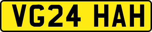 VG24HAH