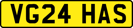 VG24HAS