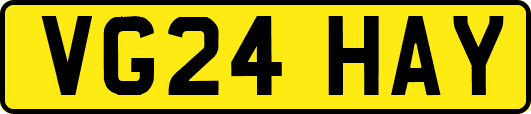 VG24HAY