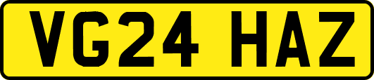 VG24HAZ